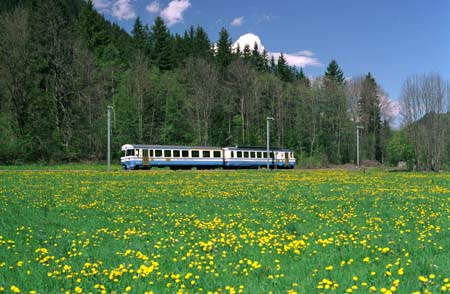 MOB Be 4/4 5000 zwischen Boden und Matten