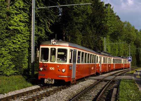 FB 2x BDe 4/4-Pendel bei Waldburg