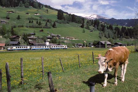 MOB Be 4/4 5004-Pendel in Boden (Lenk)