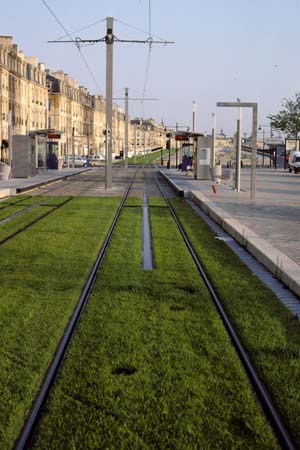 Mittelleiter im Grastrassee auf der Linie C in Bordeaux