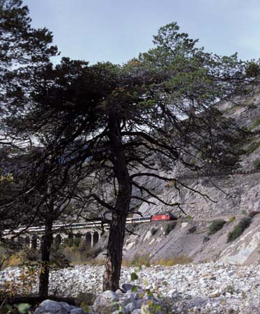 SBB Re 460 mit IR zwischen Leuk und Salgesch