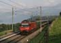 SBB Re 460 mit EC CIS