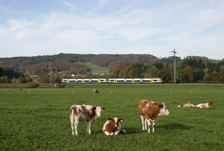 BLS RABe 525 bei Allmendingen