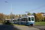 03_Tueffenwies_1